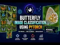 Butterfly Image Classification with PyTorch Deep Learning 100 Species