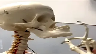 1 hour you laugh you restart memes