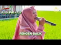 Download Lagu ANDI PUTRA 3 - PENGEN BALIK Voc . Denok | Juntinyuat Indramayu