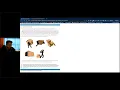 Insecure Deserialization Modifying serialized objects Portswigger Lab