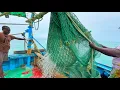 Lagu Ohh❗Prawns \u0026 Crab \u0026 Squid Catches 💢 Trawler Net Fishing 🤩 Mandapam Village 