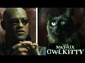 Download Lagu Morpheus meets my Cat (The Matrix)