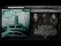 INFANT ANNIHILATOR - "Torn From The Womb"