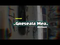Lagu _ Greseala Mea_ Mix terbaru_ Bala Rmxr 🌴