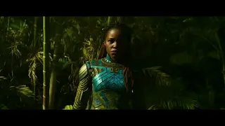 wakanda feat spilulu visualizer 