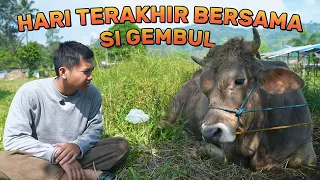 Diwan Mencari Sapi Qurban PERTAMA KALI KETEMU SI GEMBUL | fikrfadlu