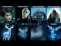 Every Harry Potter Character s Known Patronus