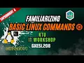 Basic Linux Commands - IT Workshop Experiment 4 KTU