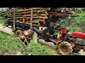 Download Lagu Agricultural vehicles transporting timber, acacia and hiao for traders