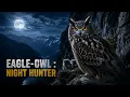From Egg to Predator The Life Cycle of an Eagle-Owl