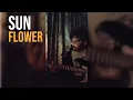 sunflower - post malone chill guitar loop cover