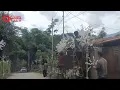 Download Lagu Pu Modi in Lamka hong phakna ding ah kisakkholhna paizom zel