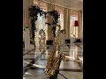 Lagu Hochzeit im Hotel Sacher und Stiftskulinarium St. Peter #gentlesax #sacherleben #willistreb