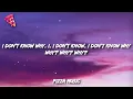Shawn Mendes - Why Why Why (Lyrics)