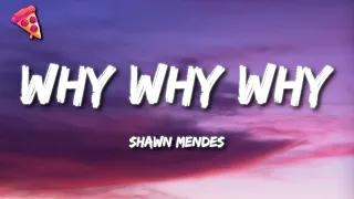 Shawn Mendes Why Why Why Lyrics 