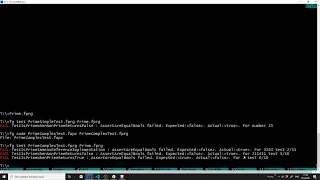 Flowgorithm unit tests