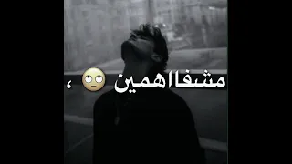 عالم بصراحه خنازير   حمو الطيخا   دندنها