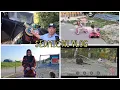 Download Lagu SEDMIČNI VLOG 24: Mix smijesnih dešavanja *babo ispratio konjanike* 179/365