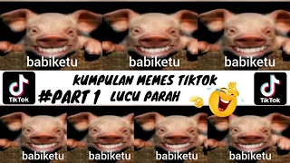 Download KUMPULAN VIDEO LUCU BABIKETU VIRAL 2023 || MEME TIKTOK!! MP3