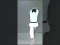 Download Lagu Kata Basaidai demonstrated by Kancho Takemasa Okuyama. #karatedo #basaidai #shotokan #okuyamakarate