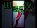 LUDA FLOW *lyric video*