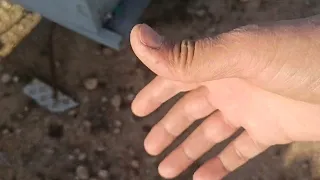 احترت في موت النحل أمام الخلايا يا ترى ماهي الاسباب التي أدت الى موت النحل بهذا العدد أمام الصناديق 