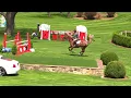 of SANDORA Z ridden by RENEE PORTNOY from ShowNet