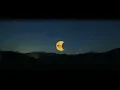 Download Lagu MOX / 2019 / Music Outdoor Experience / Moxments / 4K