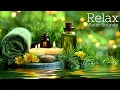 Download Lagu Relaxing Music with Water Sounds for Stress Relief 🌿 Relieve depression