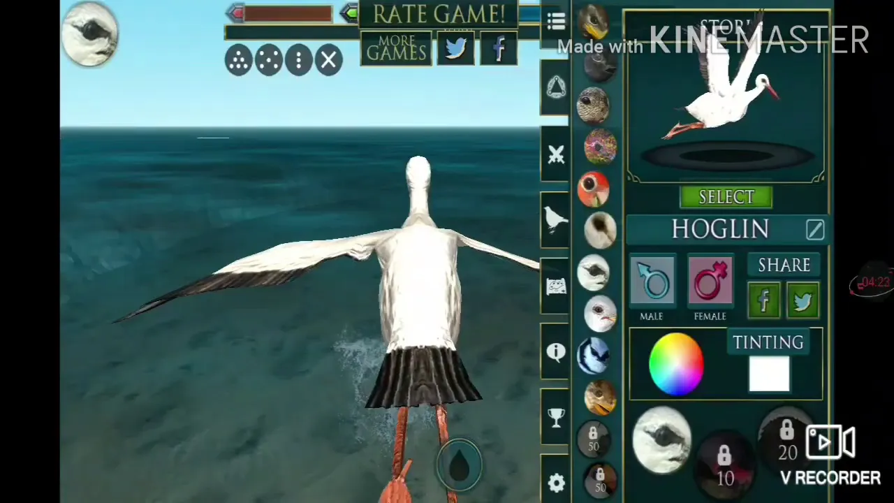 Ultimate bird simulator all birds