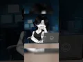 Download Lagu part 2| ib: me |boy why u so obsessed with me #gacha #alightmotion #اكسبلور  #gachalife #gachaclub
