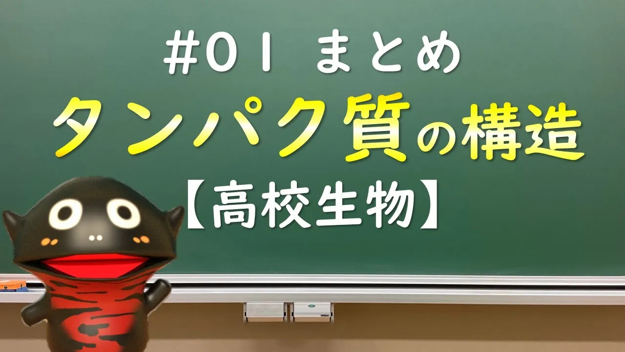 タンパク質の構造を理解せよ！わかりやすく説明します！【生物まとめ01】