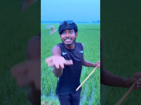 ধান ক্ষেতে মাছ | 🎣😍 | #minivlog #vlog