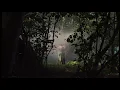 Benny Atlas - Nature. [Visualiser]