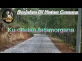 Download Lagu Berjalan Dihutan Cemara - Ebiet G Ade