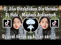 DJ JIKA DITAKDIRKAN DIA UNTUKKU | DJ HALU - MAULANA ARDIANSYAH VIRAL TIKTOK TERBARU 2024