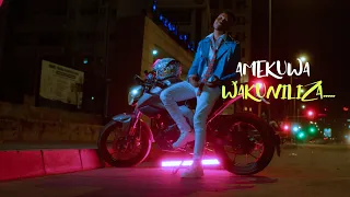 Aslam Tz Wakuniliza Official Video Lyrics 