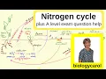 Nitrogen Cycle - for A level