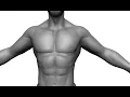 Getting Started with Sculpting - ZBrush for Beginners Tutorial