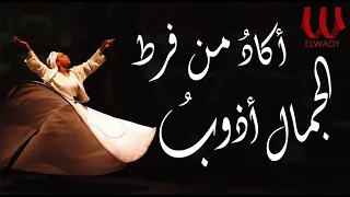                            اكاد من فرط الجمال اذوب الأصليه بالكلمات دندنها