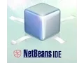 For Loop in NetBeans