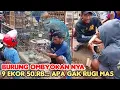 Lagu 9 EKOR 50.RB .. APA GAK RUGI MAS 