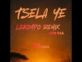 Tsela ye (Lekompo remix)