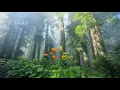 Download Lagu Piano And Morning Bird Ringtone Alarm | Free Ringtones Download