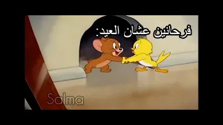 جاي وهرازيك        دندنها