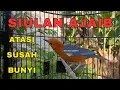 Download Lagu TERAPI SIULAN AJAIB ANIS MERAH ATASI SUSAH BUNYI‼️HW ANIS MERAH 