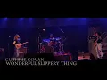Guthrie Govan - Wonderful Slippery Thing Live ft Mohini Dey
