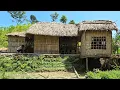 Download Lagu Tieu Lieu has finished building a bamboo wall for her warehouse | Tiểu Liễu-17 year old