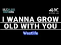 Download Lagu I Wanna Grow Old With You - Westlife (karaoke version)