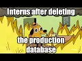 programming fans explaining 5